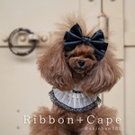 リボン付き ナチュラルガーリーケープ（ケープ、つけ襟、スタイ、犬、猫）