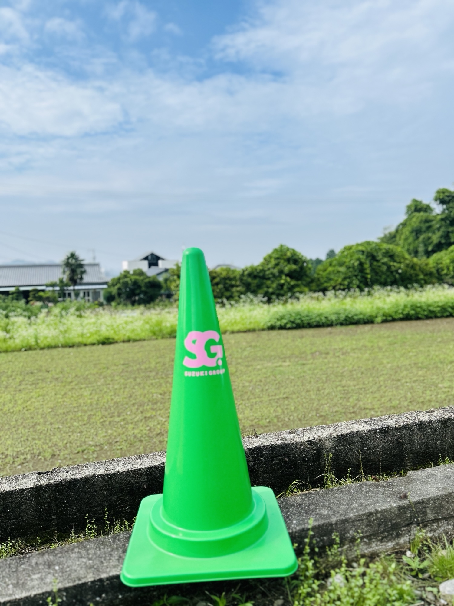 ロゴ入り　コーンサイン　看板