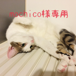mochico様専用