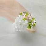 紫陽花ひとりじめ。※アナベル
