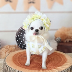 紫陽花 花冠 ホワイト グリーン ♡ 紫陽花アフロ カチューシャ ヘッドドレス 犬 猫 ペット 帽子 アジサイ かぶりもの 被り物 誕生日 うちの子記念日 花 冠  白 バースデー