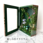 再販　癒しの苔テラリウム　森の苔ときのこ　コケリウム