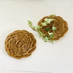 🆕プレート小２枚セット🌱