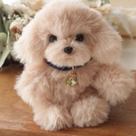 バッグチャーム　トイプードル　マルプー　犬　ベージュ　ぬいぐるみ　ぬい活　ぬい撮り　誕生日プレゼント　ギフト　うちの子　記念日　贈り物　お守り　天然石　マスコット