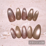 マグネティフラッシュネイル/マグネットネイル/フラッシュネイル/ちゅるん/マグネットフラッシュ/ネイルチップ