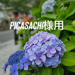 picasachi様用
