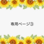 専用ページ③