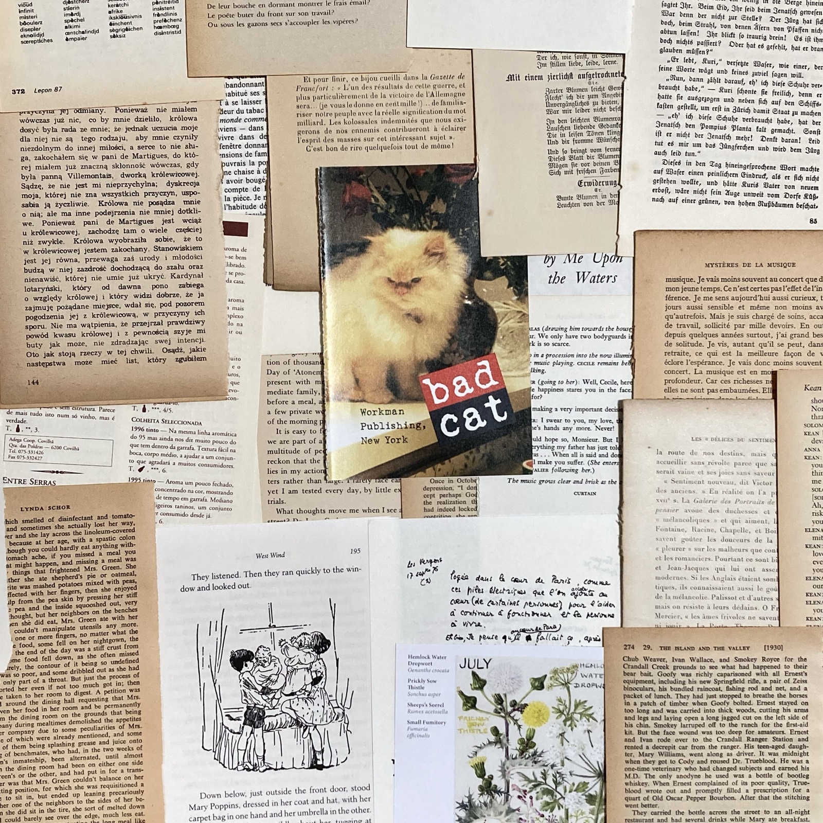 mochaB731 ヴィンテージ 洋書 ドイツ語 フラクトゥール il_340x270.1728039236_otcr.jpg
