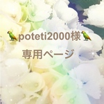 🦜 poteti2000様専用ページ🦜