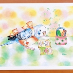 【透明水彩画・ポストカード】「ハナウタとレシピ」2枚セット/イラスト　セキセイインコ　鳥　台所　花