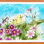 【ポストカード2枚セット】優しいまなざし/透明水彩画　セキセイインコ　コスモス　秋桜　鳥　花　秋