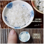 【ミニチュアフード】白ご飯(選べる茶碗)★受注生産品★