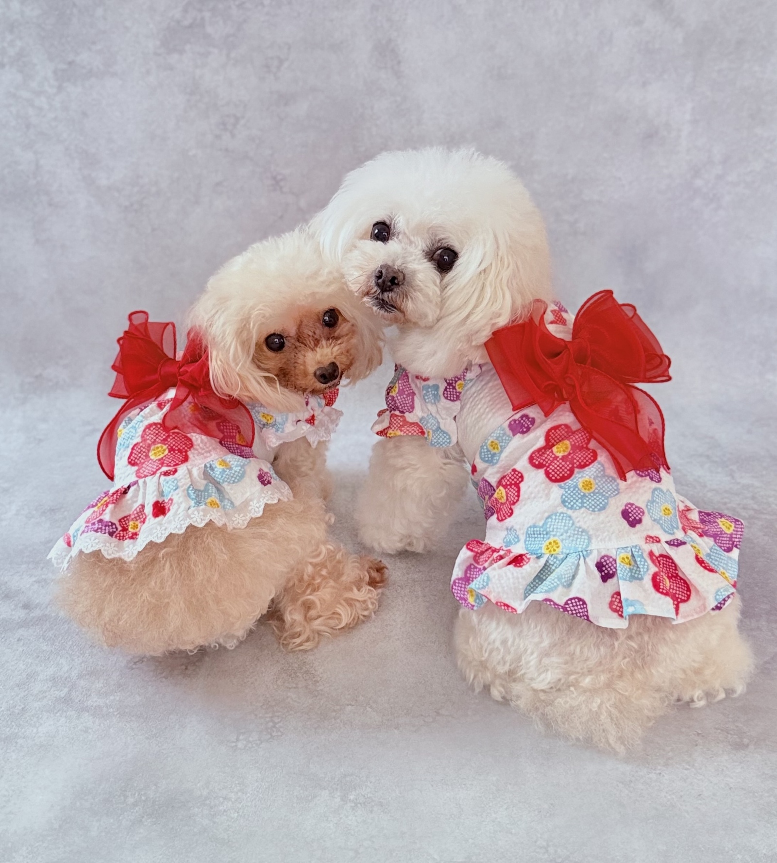 犬服 ハンドメイド スイカ柄 浴衣 xxsサイズ 楽天市場】スイカ