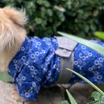  《予約》💕🫧レースのシャボン玉浴衣(ブルー)🫧💕：（犬服）