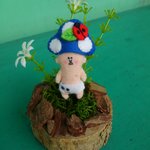 きのこヒプヒプ族（青）