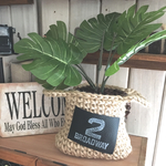 麻紐と珈琲豆のグリーン(モンステラ)