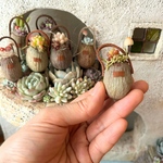 ベルガムナッツのカゴ寄せガチャガチャ🏵️