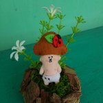 きのこヒプヒプ族（椎茸）