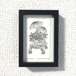 キノコや苔の生えたカメ　原画