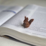ミニミニキタリス tiny eurasian red squirrel