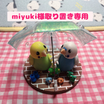 相合傘セキセイインコペア