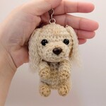 ちっちゃいわんこ♡ミニチュアダックス(クリーム)