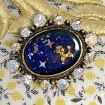 【オーダー品】宇宙で遊ぶトイプードルのブローチ
