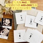 【tmai1214さま専用】マンスリーカード  月齢カード アルバス みてね ホワイト シンプル ましかく スクエア