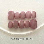 微粒子マグネットネイル〜ローズ〜