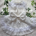 犬服 完成品 ⭐︎ レーシーホワイトドレス（胴34/着丈27）