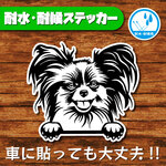ハンドメイドステッカー(パピヨン)