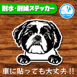ハンドメイドステッカー(シーズー)