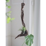 流木雑貨 ハンギング🌱 インテリア雑貨