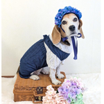 紫陽花 花冠 ネイビー ♡ 紫陽花アフロ カチューシャ ヘッドドレス 犬  猫 ペット 帽子 アジサイ かぶりもの 被り物 誕生日 うちの子記念日 花 冠 紺 バースデー