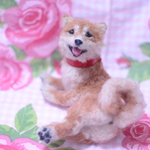 柴犬さん