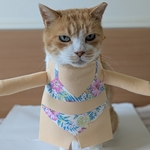 パステルビキニ