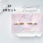 Leonardt EF Principal カリグラフィーニブ 2本セット海外正規輸入品 カリグラフィー用品