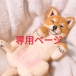 専用ページ