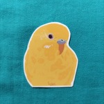 ステッカー2枚セット／ セキセイインコ１