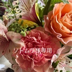 ソトムラ様専用ページ