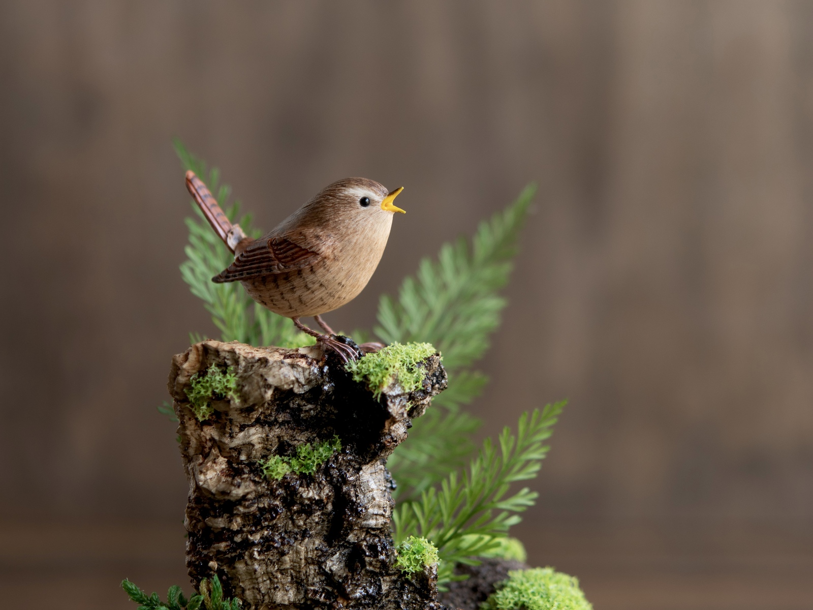 シマエナガと白玉ぜんざい 【部屋の中で野鳥観察シリーズ