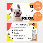 うちの子名刺 100枚 両面 写真 多頭 ペット 犬 猫 うちのこ 家族 いぬ ねこ イヌ ネコ 愛犬 愛猫