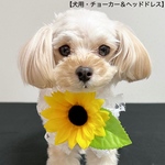【犬用】ひまわり　犬チョーカー　犬リボン　犬ヘッドドレス　犬誕生日　トリミング