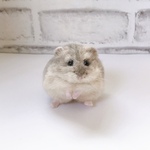 羊毛フェルト　まんまるハムスター（ブルーサファイア）