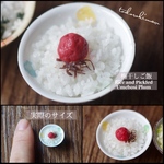 【ミニチュアフード】梅干しご飯(選べる茶碗)★受注生産品★