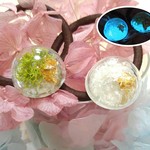 明&暗(夜光)/ｶﾞﾗｽﾄﾞｰﾑの天空の日本庭園(ｻｻﾞﾚ石入り)ﾍｱｺﾞﾑ