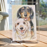 My Pet Art 似顔絵オーダー｜愛犬のイラストオーダー(色鉛筆イラスト)笑顔・ぬくもり・宝物を／ハガキサイズ