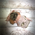 どこのコ？ #125 体高10cm テディベアタイプ うさぎ 