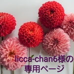 licca-chan6様の専用ページ