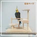 キオソラちゃん専用